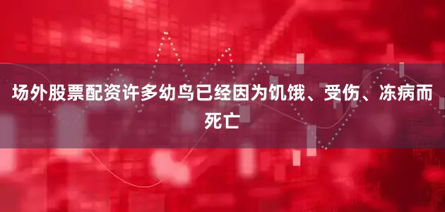 场外股票配资许多幼鸟已经因为饥饿、受伤、冻病而死亡