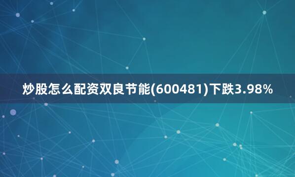 炒股怎么配资双良节能(600481)下跌3.98%