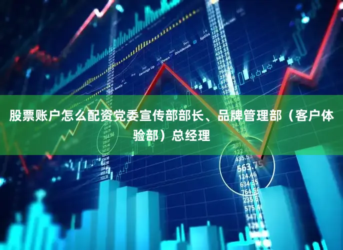股票账户怎么配资党委宣传部部长、品牌管理部（客户体验部）总经理