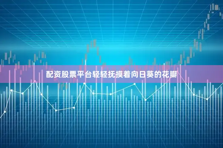 配资股票平台轻轻抚摸着向日葵的花瓣