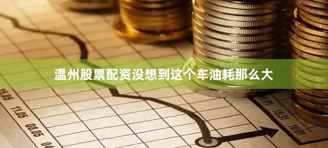 温州股票配资没想到这个车油耗那么大
