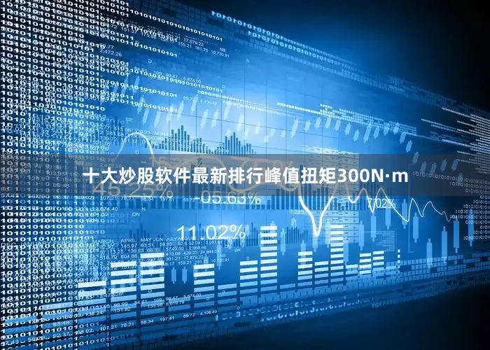 十大炒股软件最新排行峰值扭矩300N·m