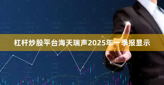 杠杆炒股平台海天瑞声2025年一季报显示