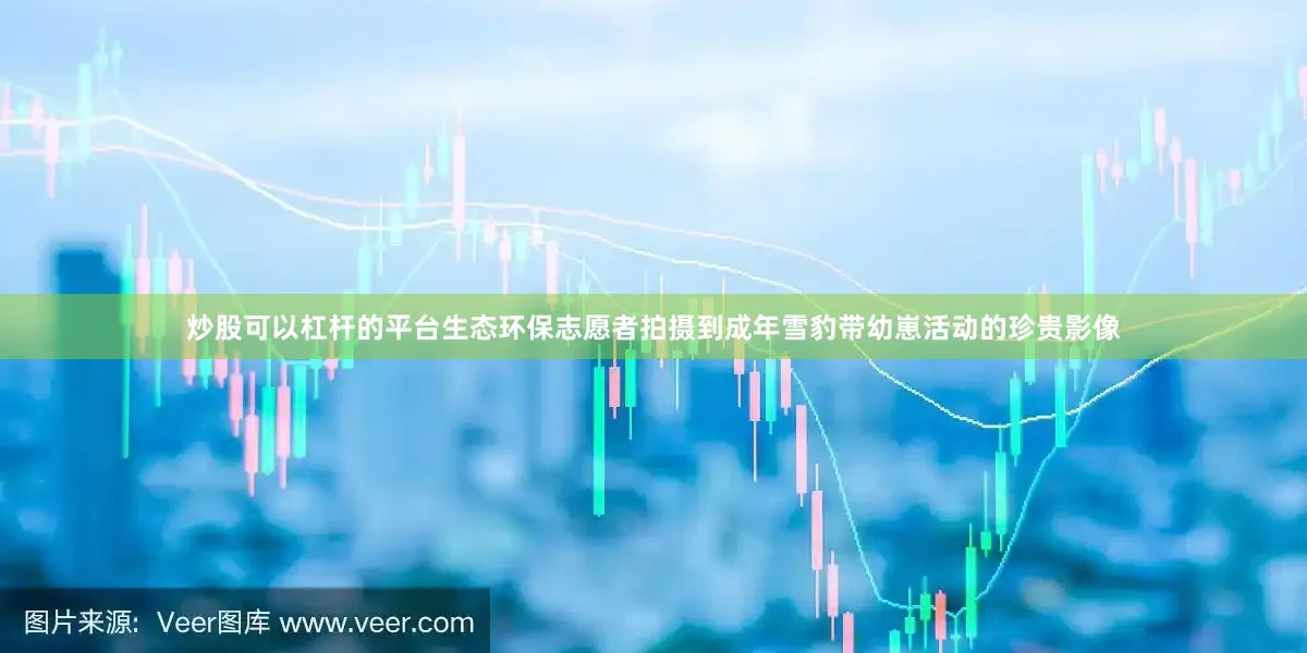 炒股可以杠杆的平台生态环保志愿者拍摄到成年雪豹带幼崽活动的珍贵影像