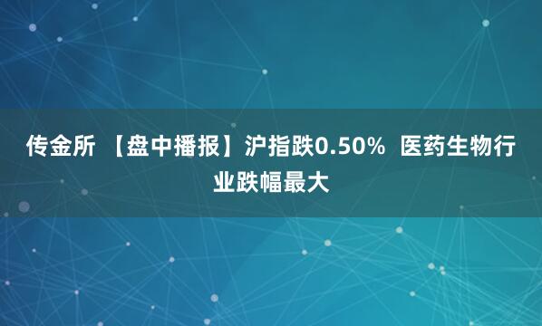 传金所 【盘中播报】沪指跌0.50%  医药生物行业跌幅最大