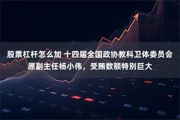 股票杠杆怎么加 十四届全国政协教科卫体委员会原副主任杨小伟，受贿数额特别巨大