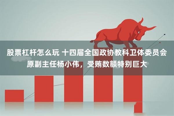 股票杠杆怎么玩 十四届全国政协教科卫体委员会原副主任杨小伟，受贿数额特别巨大