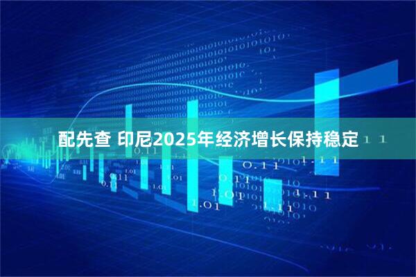配先查 印尼2025年经济增长保持稳定