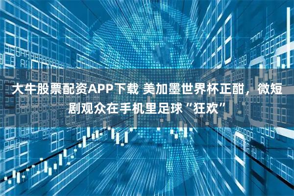 大牛股票配资APP下载 美加墨世界杯正酣，微短剧观众在手机里足球“狂欢”